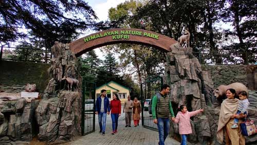 Kufri Sightseeing to Zoo